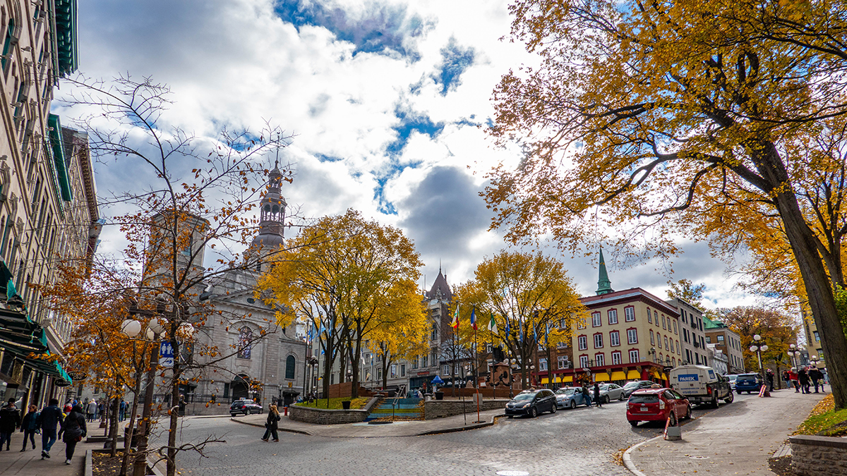 C’est vital. Portrait dynamiques de la production culturelle autochtone en milieu urbain au Québec